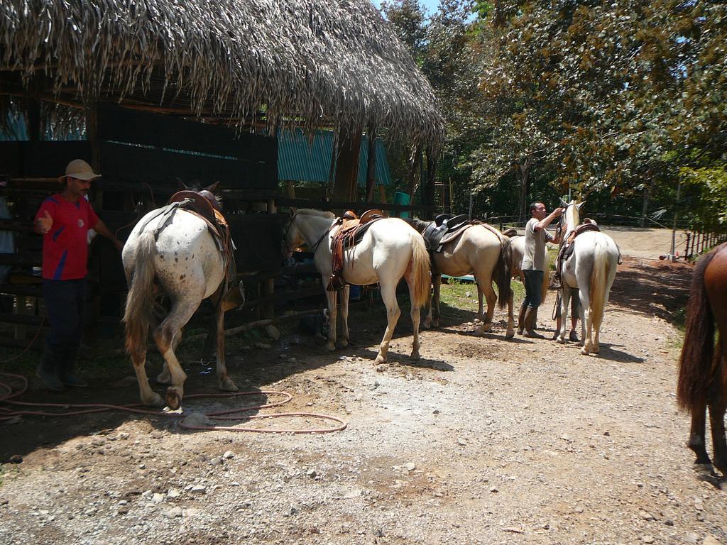 Villa Casas Buenas Brisas Ojochal Habitación foto